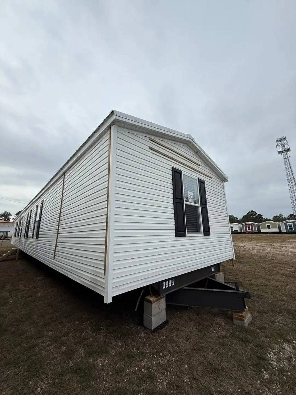 photo_2025-09-05_01-18-32